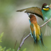 natur exclusiv