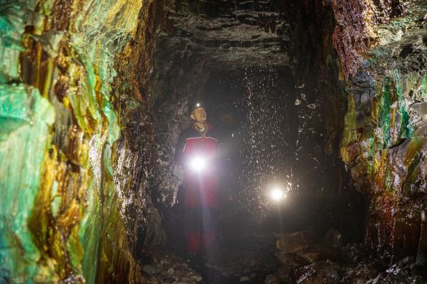 Bild 1 von 9: Dirk Steffens im \