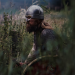 Vikings - Die wahre Geschichte
