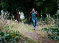 Harry Wild - Mörderjagd in Dublin