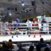 Sportclub Story