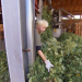 Undercover Boss