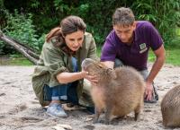 Tierärztin Dr. Mertens