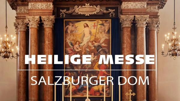 Bild 1 von 1: .