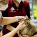 Tierretter mit Herz