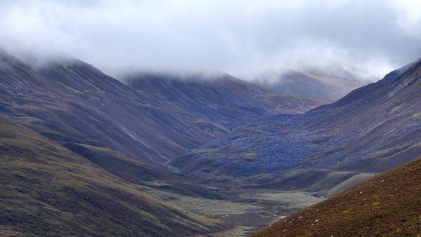 Bild 1 von 4: Die typische, karge Landschaft der Highlands war einst mit dichtem Wald bewachsen.