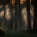 natur exclusiv