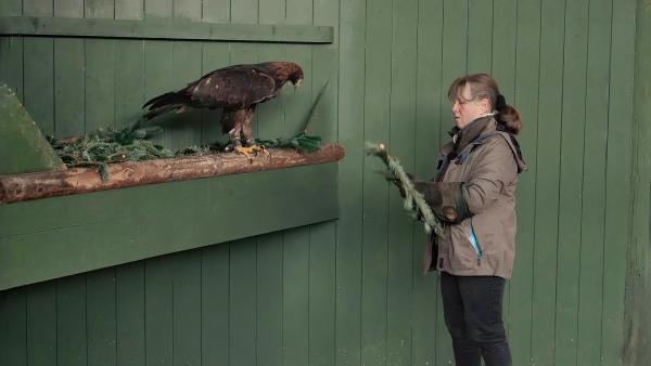 Bild 1 von 1: .