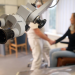 Patienten im Visier