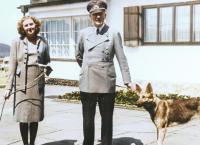 Das Dritte Reich Privat