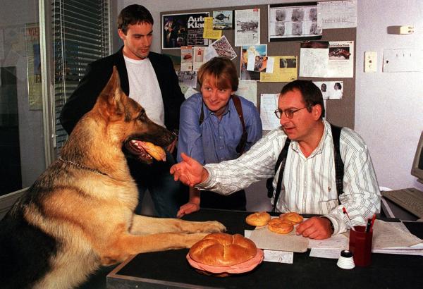 Bild 1 von 3: Im Bild (v.li.): Gedeon Burkhard (Alexander Brandtner), Heinz Weixelbraun (Christian Böck), Wolf Bachofner (Peter Höllerer).