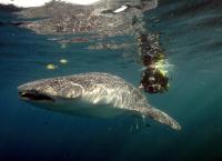 Rift Valley - Der große Graben