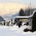 Berg und See in Eis und Schnee - Winteridylle in Österreich