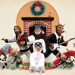 Robot Chicken