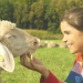 Anna und die Haustiere