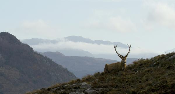 Bild 1 von 4: 