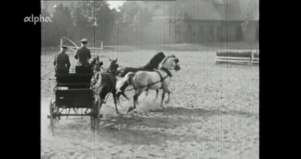 Bild 1 von 4: Lüneburger Heide anno 1954: Kutschengespann auf dem Landgestüt Celle.
