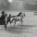 ... allerlei am Weg ich fand (1954)