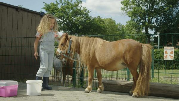 Bild 1 von 7: 
