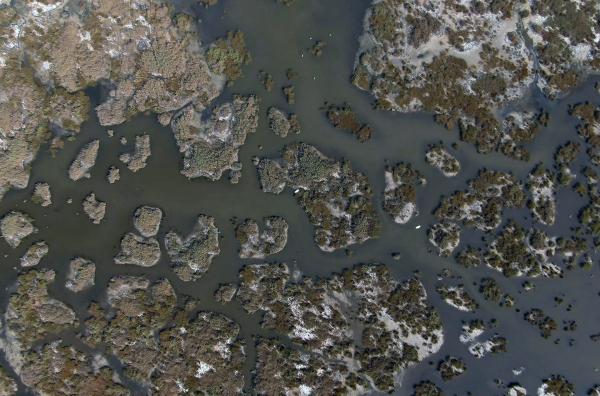 Bild 1 von 6: Die Sumpflandschaft um die Sanddüne ist durch den Fluss Ropotamo entstanden, der hier ins Schwarze Meer fließt: ein wichtiges Brutgebiet für Wasservögel.