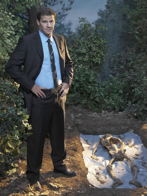 Bild 1 von 10: (1. Staffel) - Booth (David Boreanaz)
