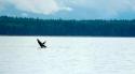 3sat 17:45: mareTV: Vancouver Island