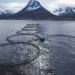 Die Lachs-Industrie