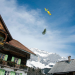 Bild 12