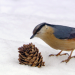 Winterwelten
