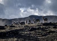 Michael Martin - Mit der Kamera um die Welt