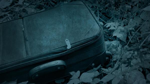Bild 1 von 1: 