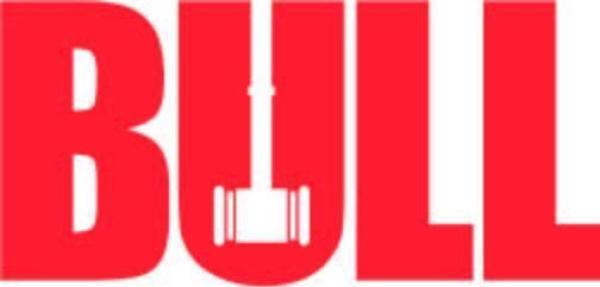Bild 1 von 3: (4. Staffel) - Bull - Logo