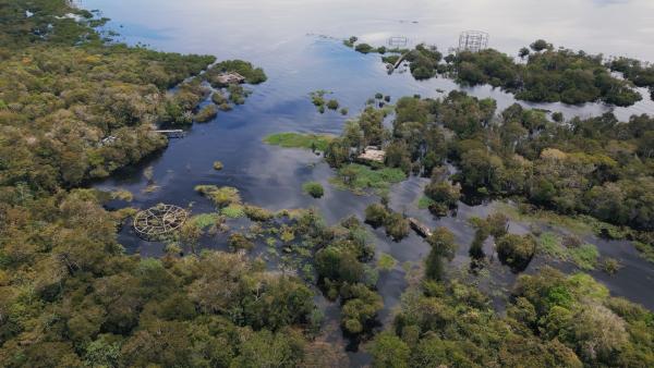 Bild 1 von 1: In den 1970er Jahren stand auf diesen Stelzen, mitten im Amazonas, ein Öko-Hotel mit 300 Zimmern und Hubschrauberlandeplatz. Dreharbeiten zur Reality-TV Serie \