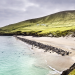 Wildes Irland - Die grüne Insel