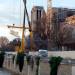 Die Retter von Notre Dame