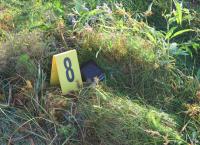 Unfall, Selbstmord oder Mord?