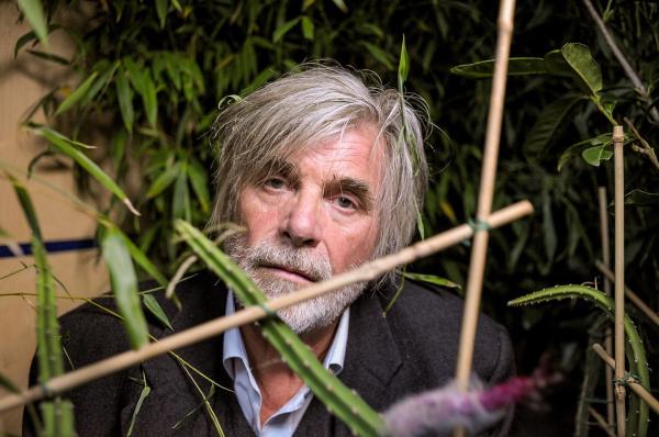 Bild 1 von 13: Im Bild: Heinrich (Peter Simonischek) versteckt sich vor seinem Verfolger in einem Lieferwagen mit dem Kaktus.