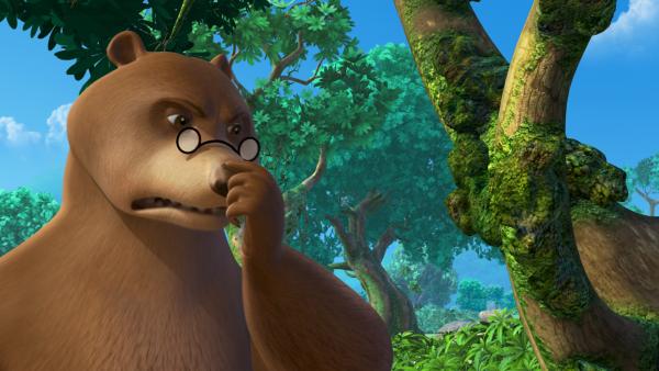 Bild 1 von 6: Balu schaut sich den grünen Schimmel genauer an: So etwas hat er noch nie gesehen.