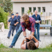 Bild 15