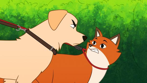 Bild 1 von 3: Hund Anton (l.) und die anderen Haustiere sind sauer auf Fuchs Iwo (r.), der so tut, als sei er einer von ihnen, und so den Platz eines anderen Haustieres eingenommen hat, das nun kein Zuhause mehr hat.