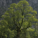 Abenteuer Wildnis