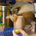 Medical Detectives - Geheimnisse der Gerichtsmedizin