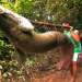 In der Hängematte auf dem Amazonas