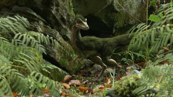 Bild 1 von 4: Tiere und Pflanzen passen sich an die Veränderungen der Erde an. Doch ein Ereignis wird die Lebensbedingungen schlagartig umwandeln.