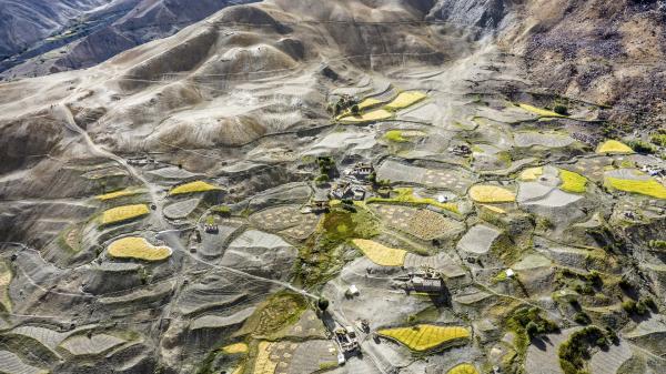 Bild 1 von 8: Terrassenfelder in der indischen Zanskar-Region im westlichen Himalaya.