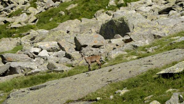 Bild 1 von 12: .