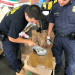 Border Patrol USA - Einsatz an Mexikos Grenze