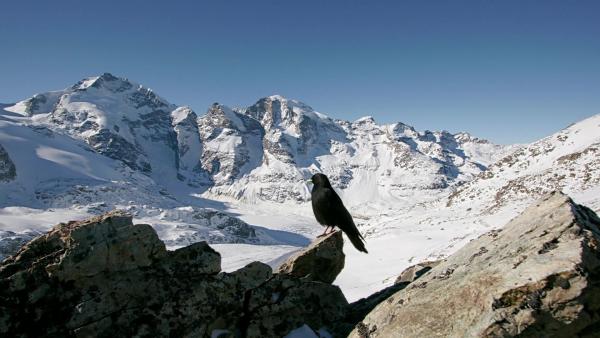Bild 1 von 2: .