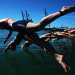 Triathlon