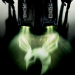 The Green Hornet